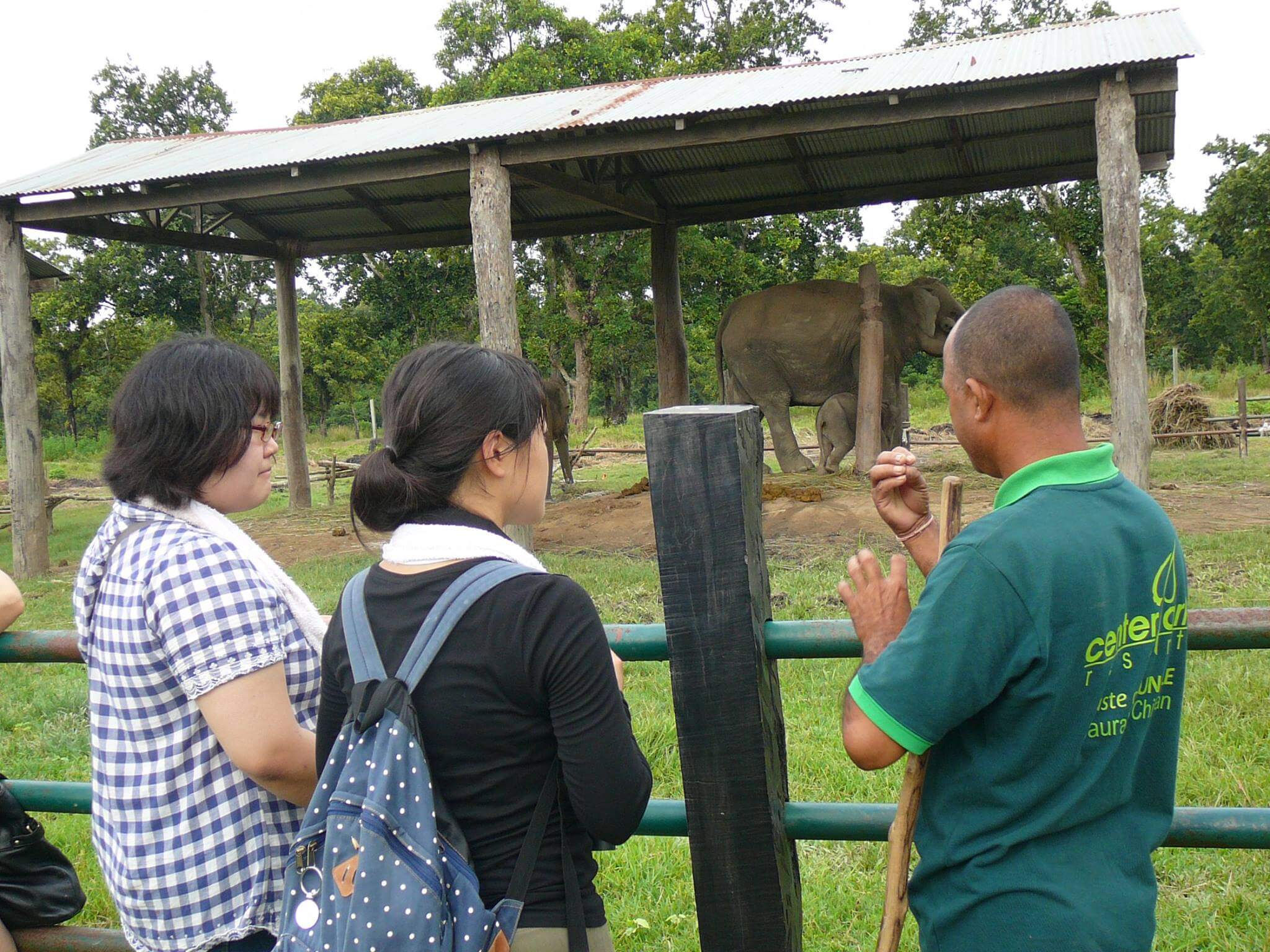 Nepal Cultural & Jungle Safari Tour